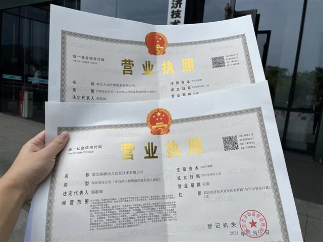 如何注销企业营业执照流程的简单介绍