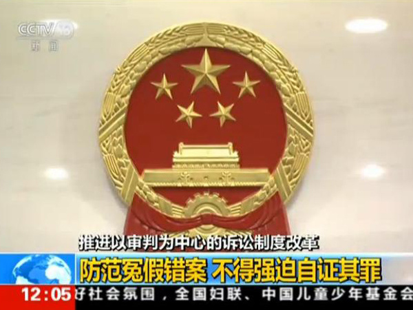 关于如何根源性的移除国家官方平台刑事诉讼的信息