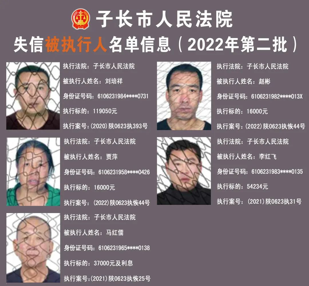 关于如何全网的删除人民法院公告网严重失信主体的信息