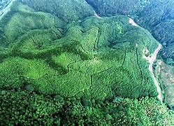 企业信用修复如何全网的移除绿网历史负面信息(如何全网的移除绿网历史负面信息呢)