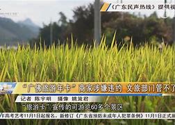 关于如何合法的屏蔽企知道历史不良信息的信息