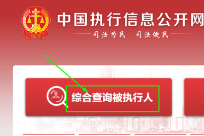 关于如何屏蔽中国执行信息公开网股权质押的信息