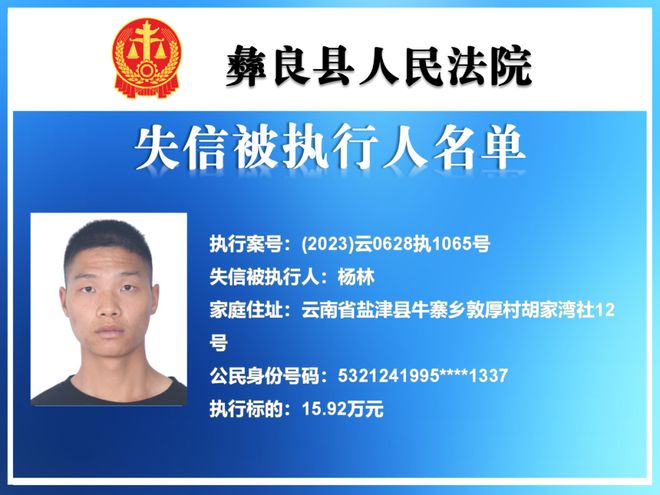 包含有什么方法源头的屏蔽公司的失信被执行人的词条