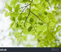 企业信用修复怎样消除汇法网环保处罚(怎样消除汇法网环保处罚信息)