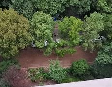 企业信用修复如何处理绿网历史立案信息(绿网科技发展上海有限公司)