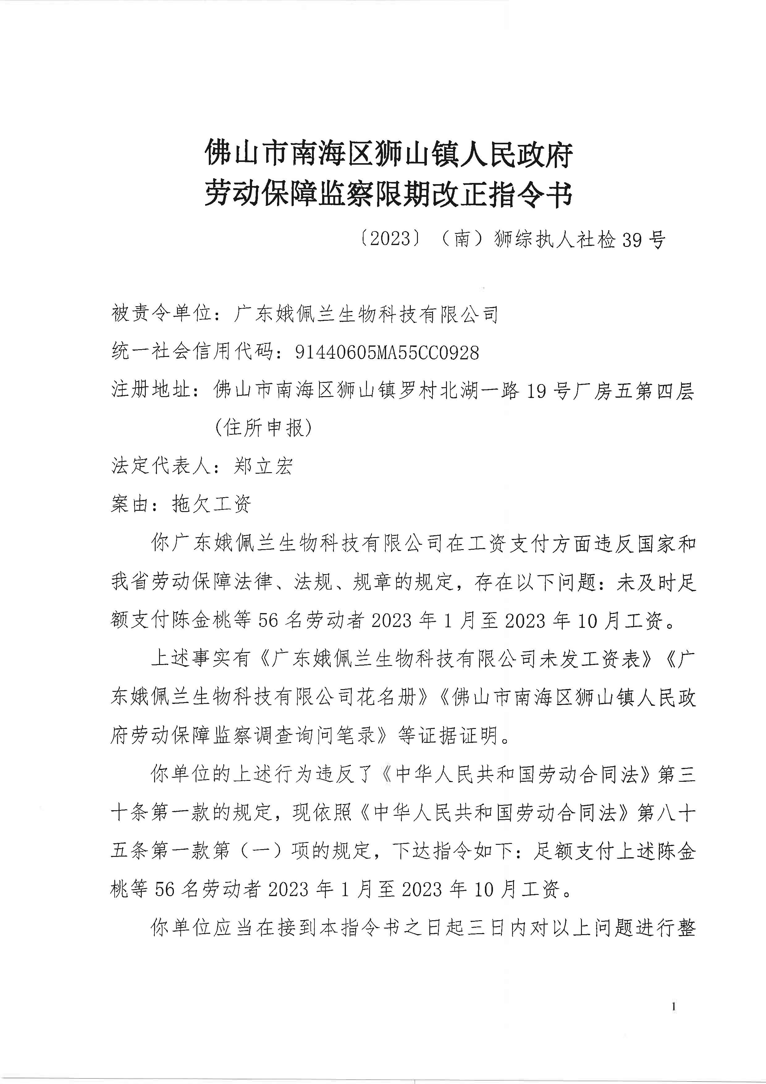 包含如何专业的处理公司的送达公告的词条